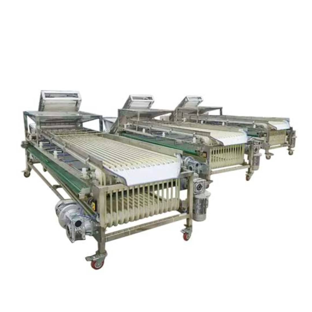 خط دستگاه درجه بندی مرتب سازی اندازه